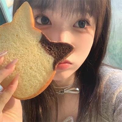 自由地带