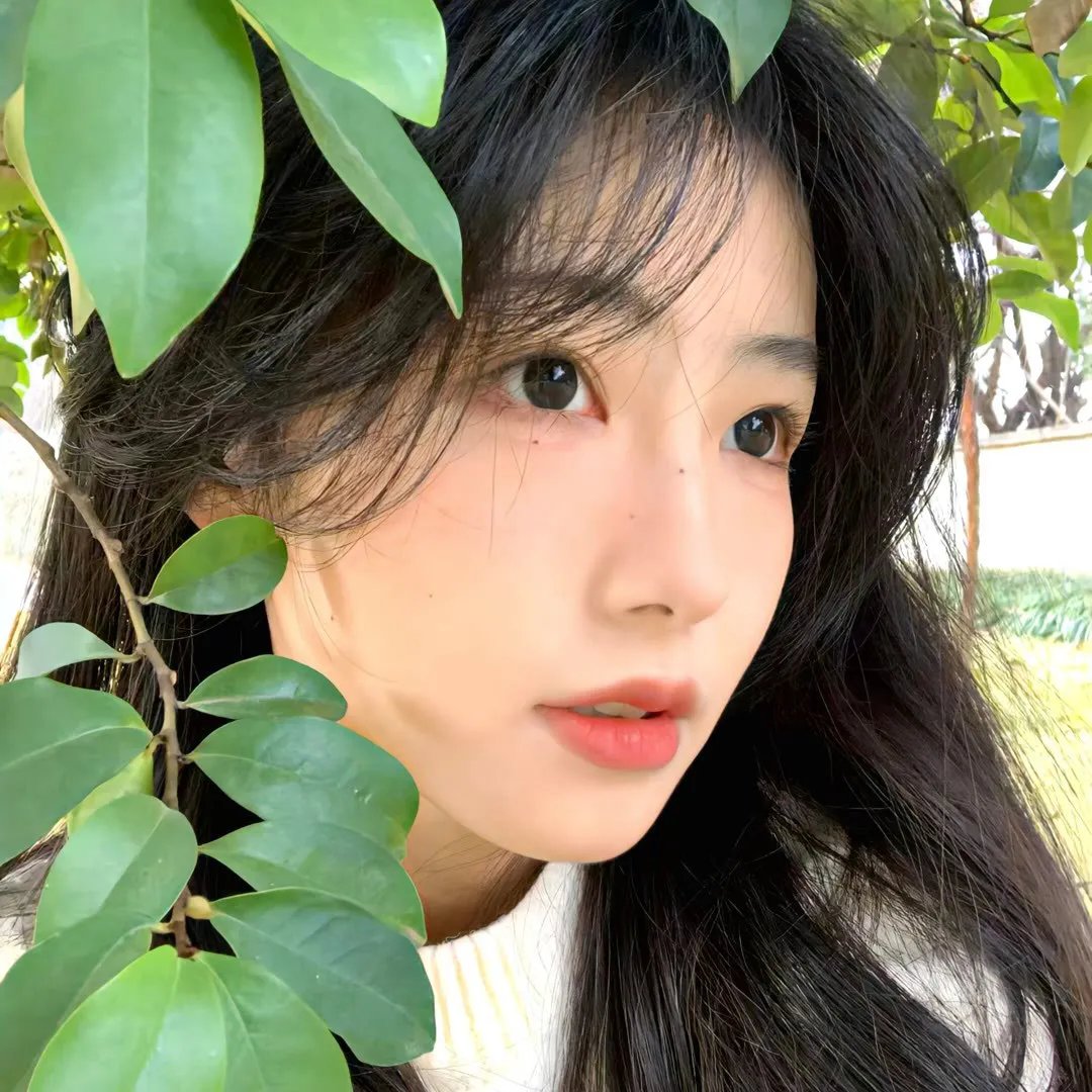 雪花双蕊
